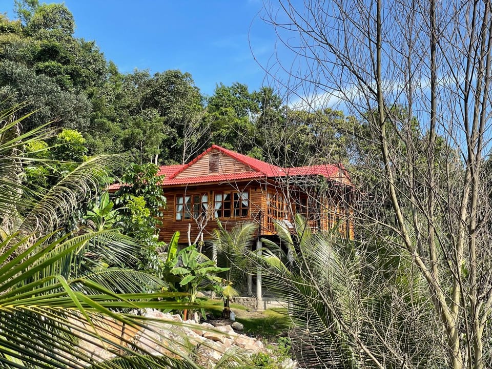 Property building, Day, Natural landscape