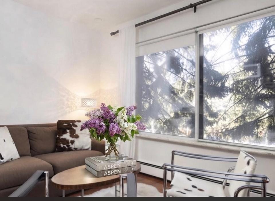 Downtown Aspen, Aspen Mountain & Cowhide! Romantic! 1300 ft, 4 Blocks or 396 m, to AJAX or Aspen Mountain Apartment in Aspen