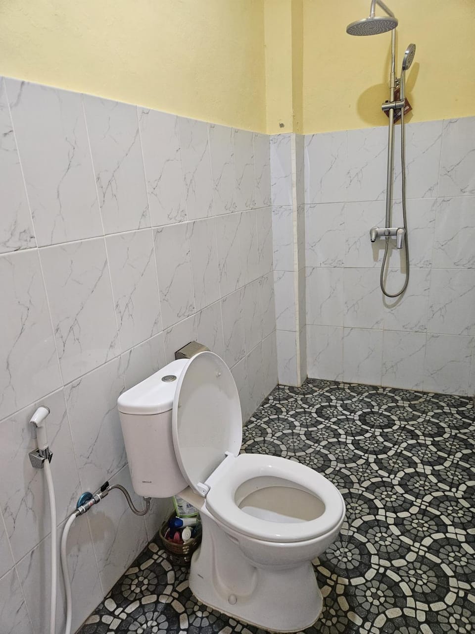 Shower, Toilet, Bathroom, bidet