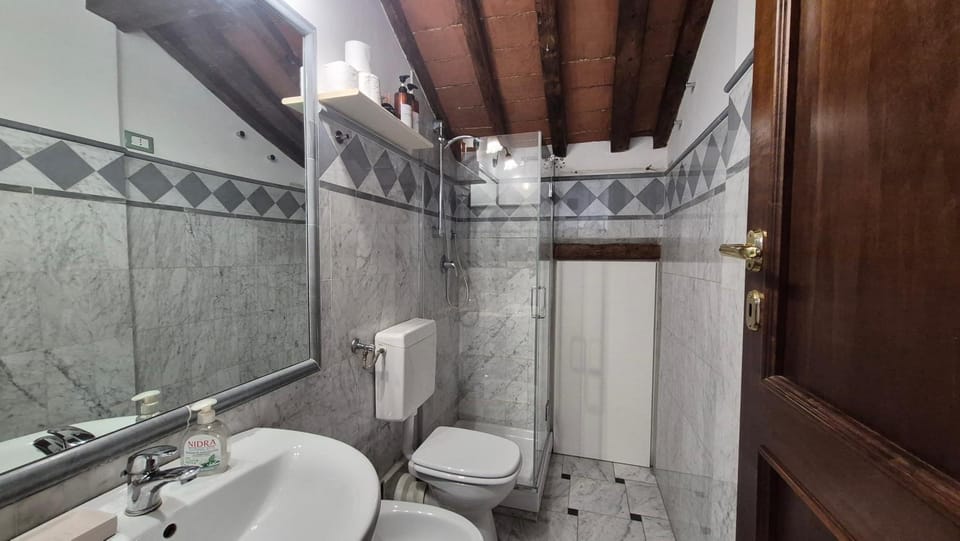 Shower, Toilet, Bathroom, bidet