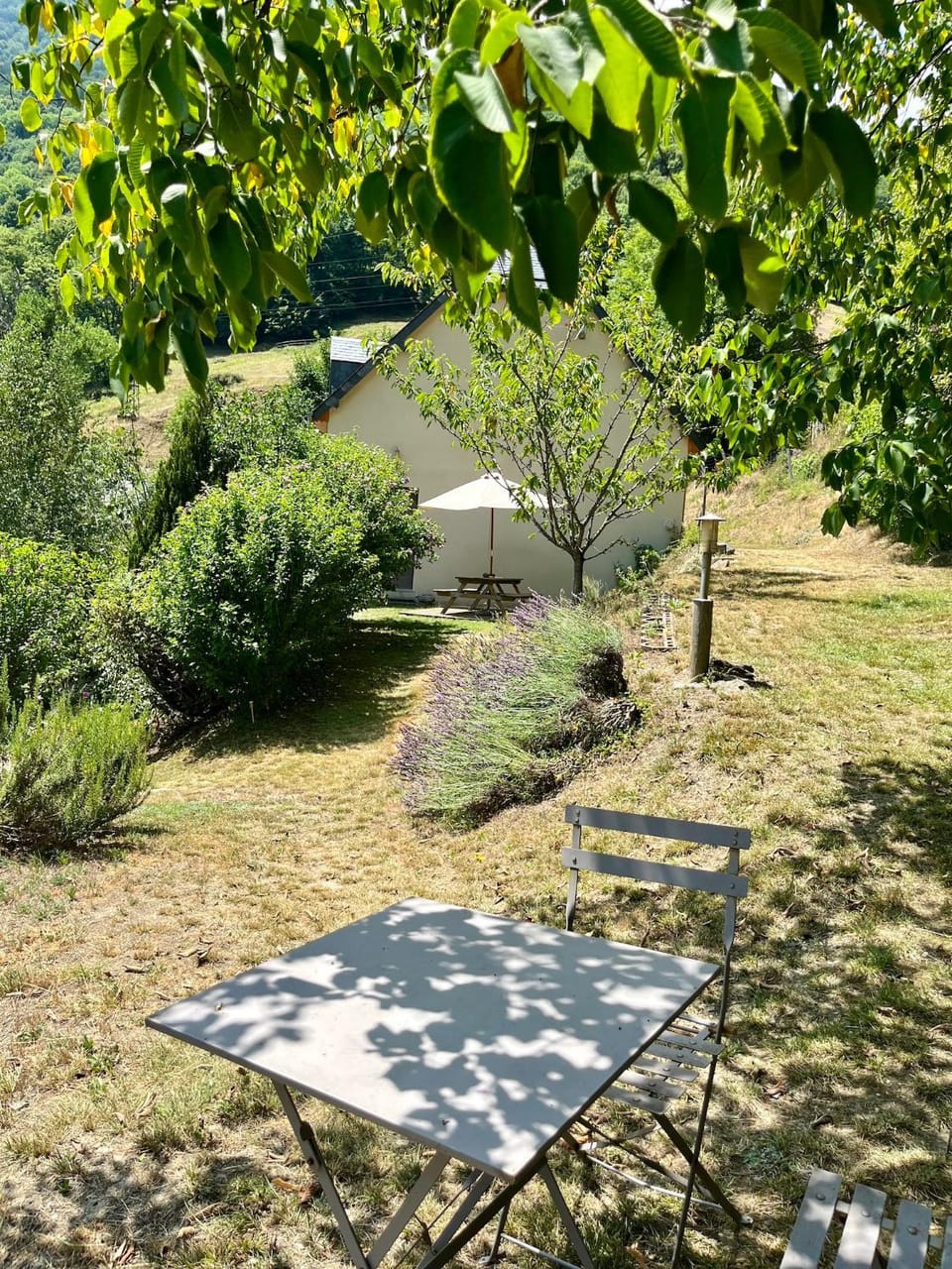 Spring, Natural landscape, Garden, Dining area, Garden view