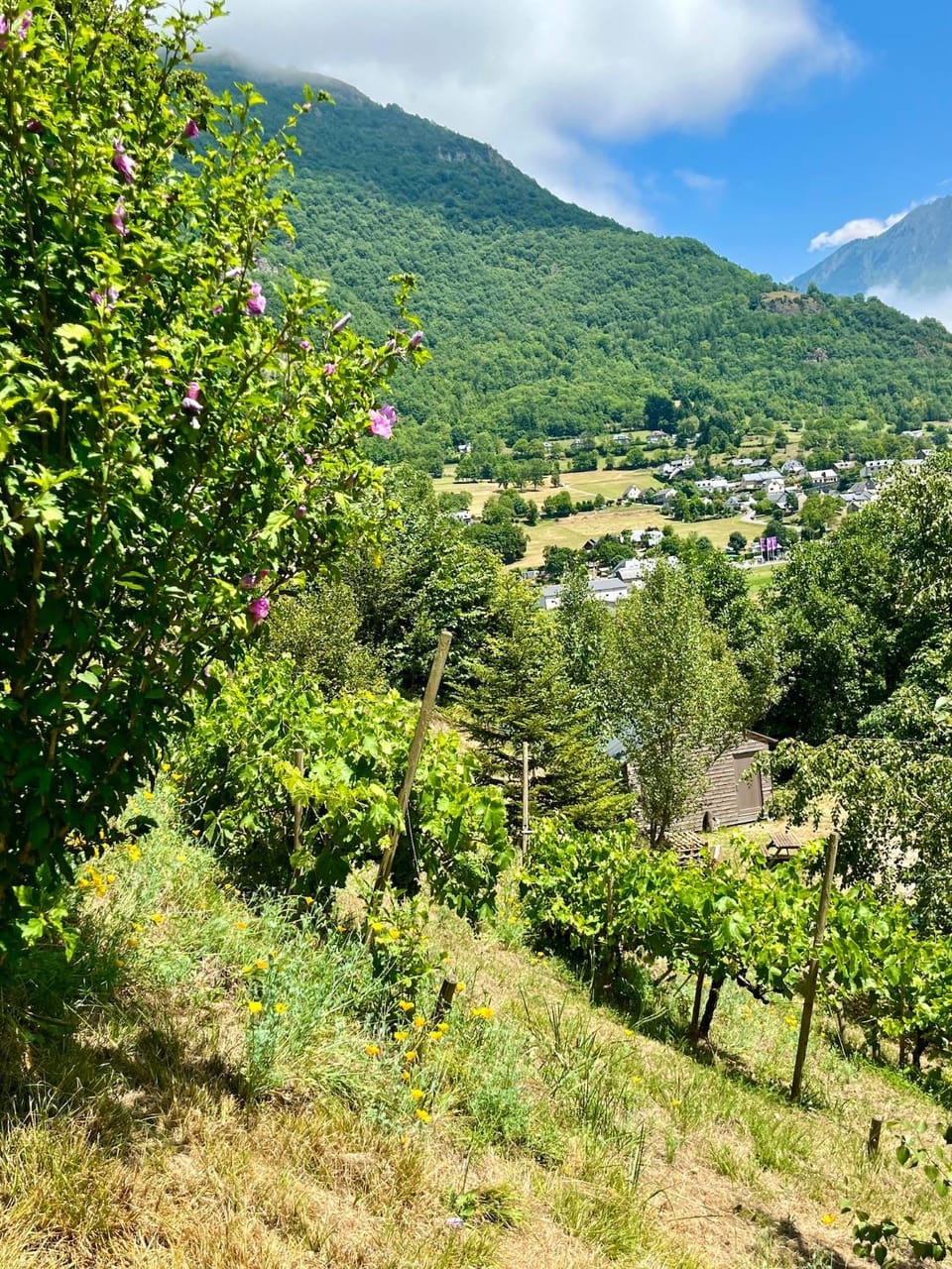 Nearby landmark, Spring, Natural landscape, Mountain view, River view
