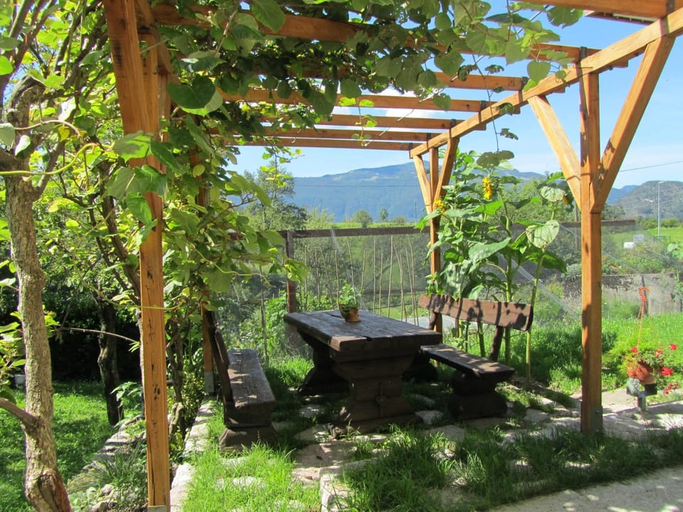 Apartment Rakušček Apartment in Friuli-Venezia Giulia