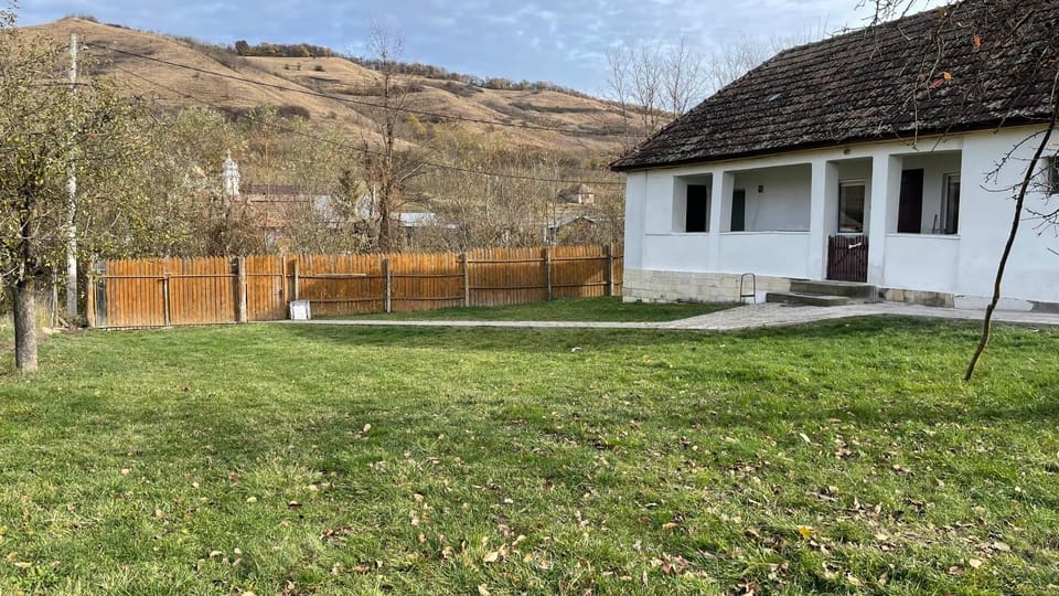 Natural landscape, Garden, Garden view