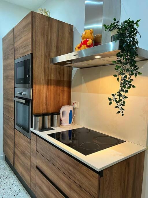 Kitchen or kitchenette, minibar, pet friendly, stove
