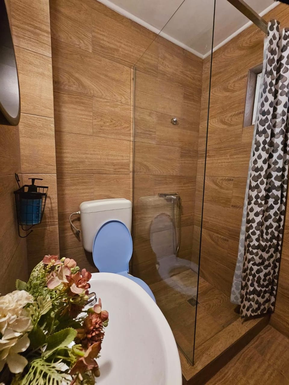 Vila Sofia Vacation rental in Constanța County