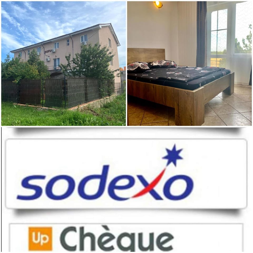 Vila Sofia Vacation rental in Constanța County