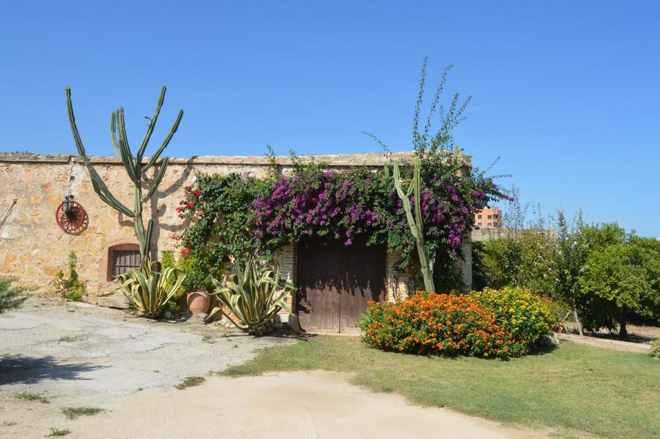 Patio, Garden, Garden view