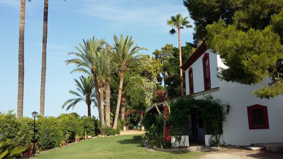 Patio, Garden, Garden view