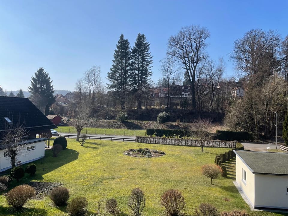 Spring, Day, Natural landscape, Garden, Garden view