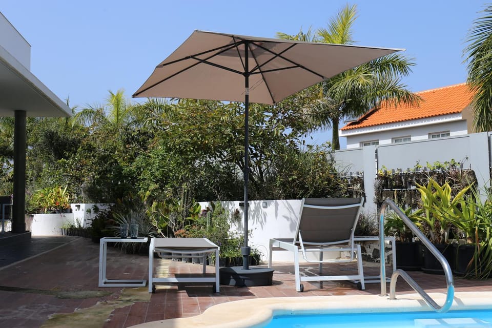 Garden, Garden view, Swimming pool, sunbed
