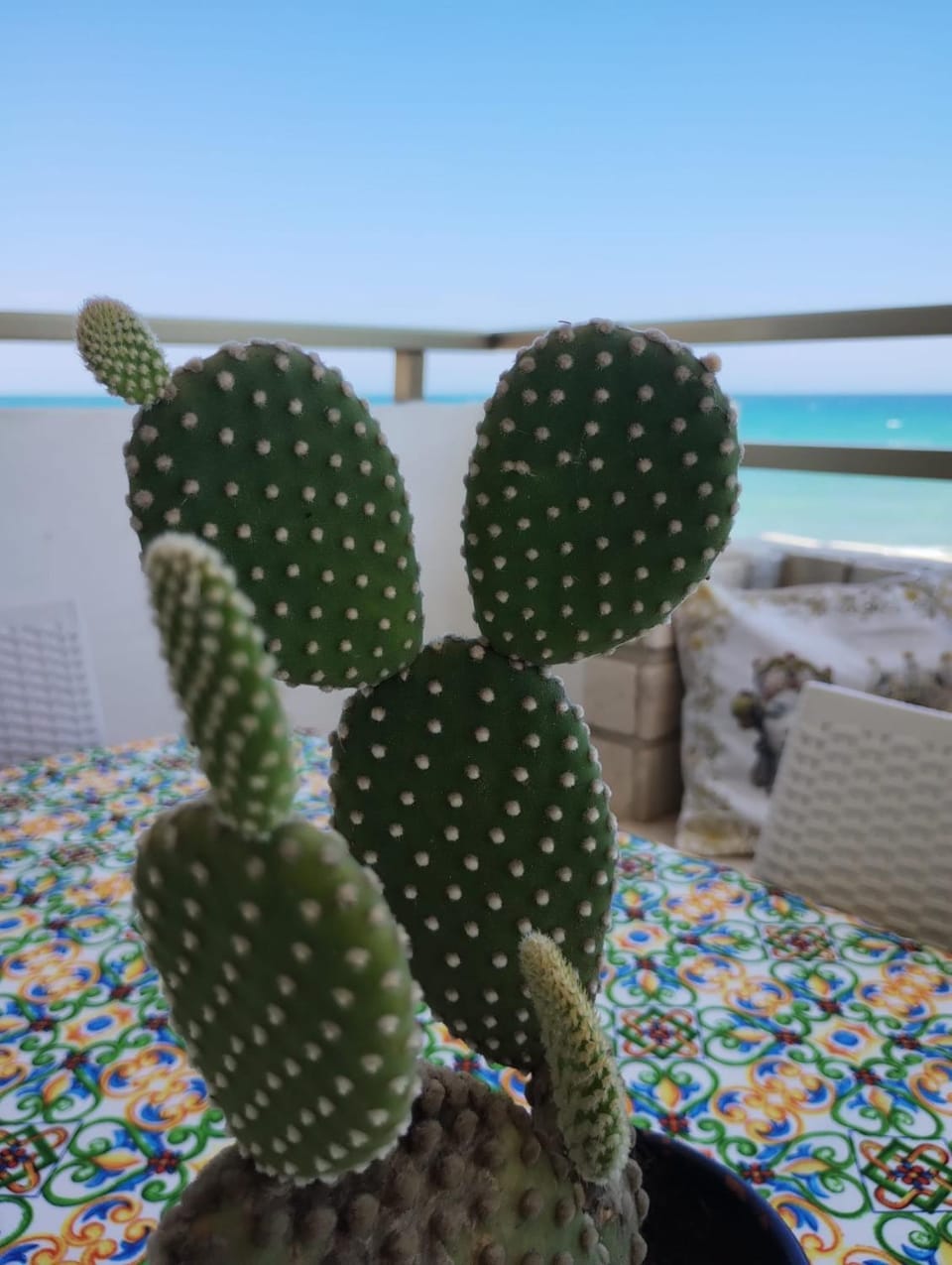 LA FINESTRA SUL MARE House in Apulia