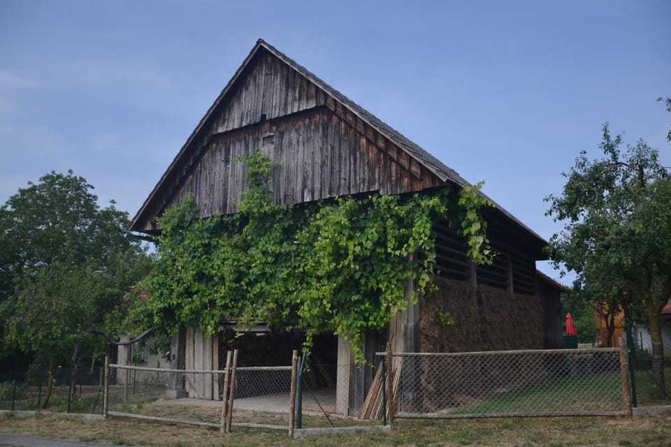 Property building, Nearby landmark, Garden, Street view