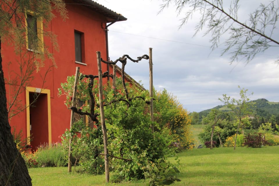 B&B Fox's Hill Bed and Breakfast in Marche