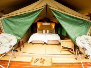 Amafu Forest Lodge Nature lodge in South Africa