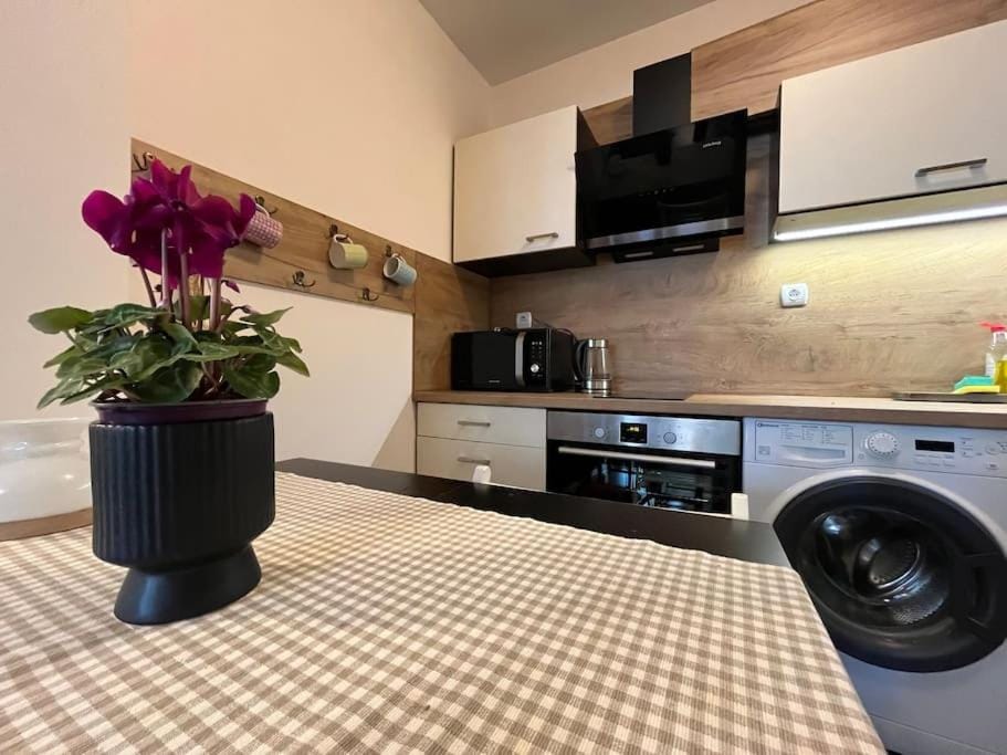 Dining area, minibar, pet friendly, washing machine