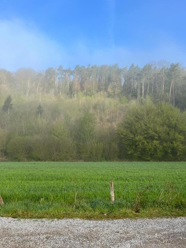 Lodge Camping De la vallée Campground/ 
RV Resort in Wallonia, Belgium