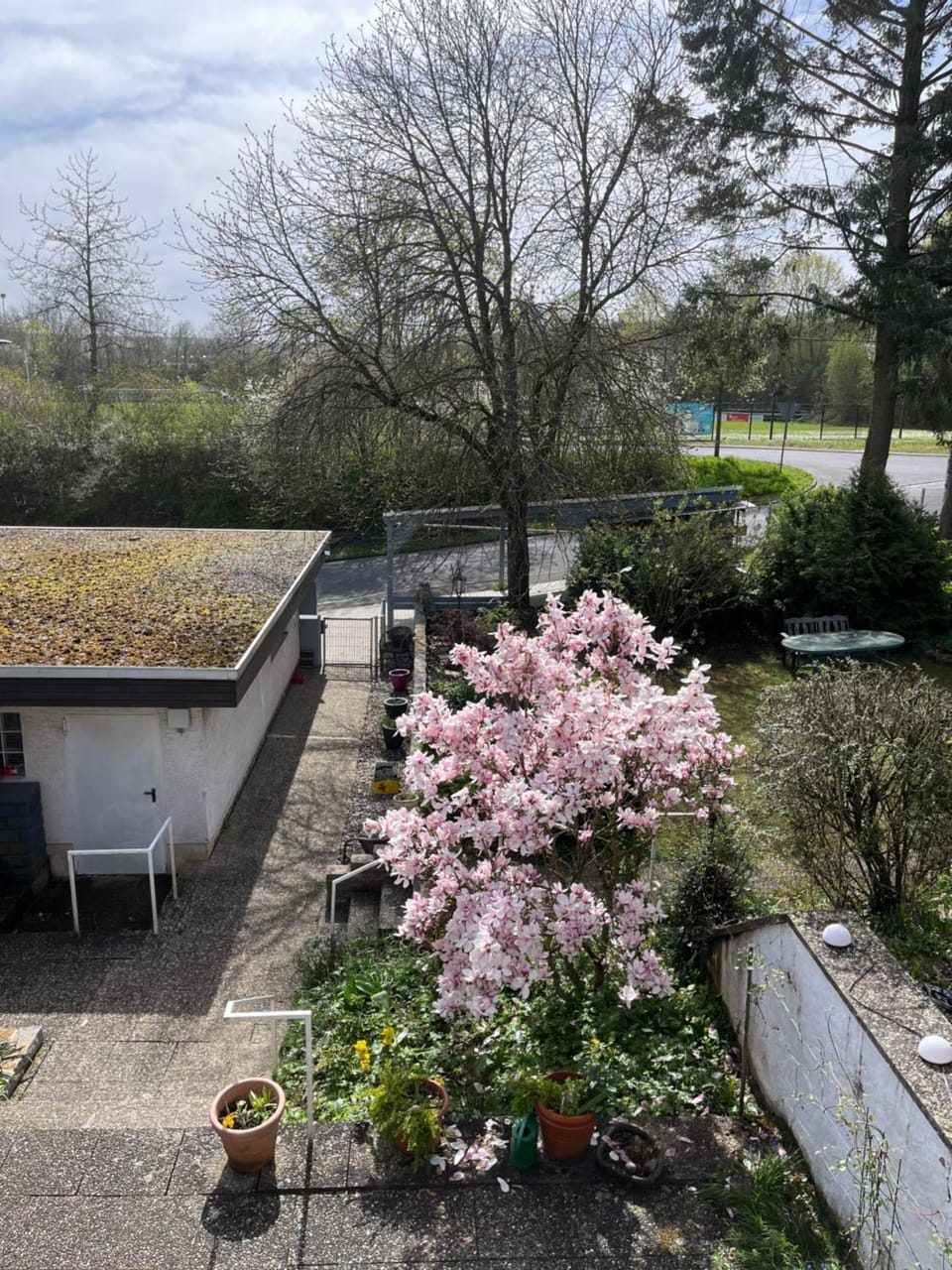 Spring, Garden view
