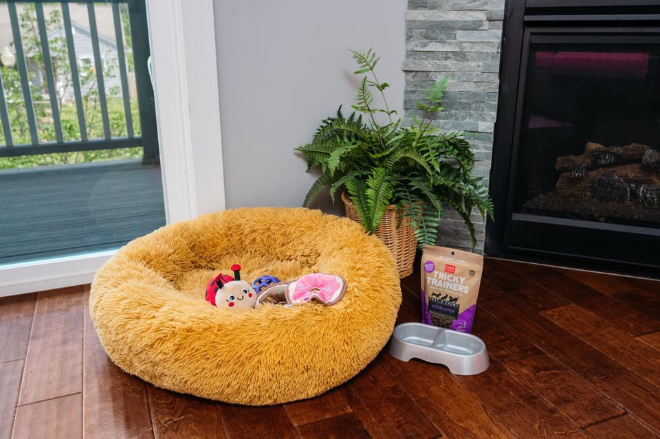 Pets, pet friendly