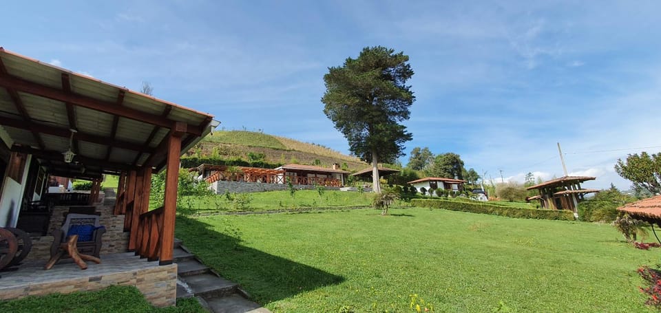 Natural landscape, Garden