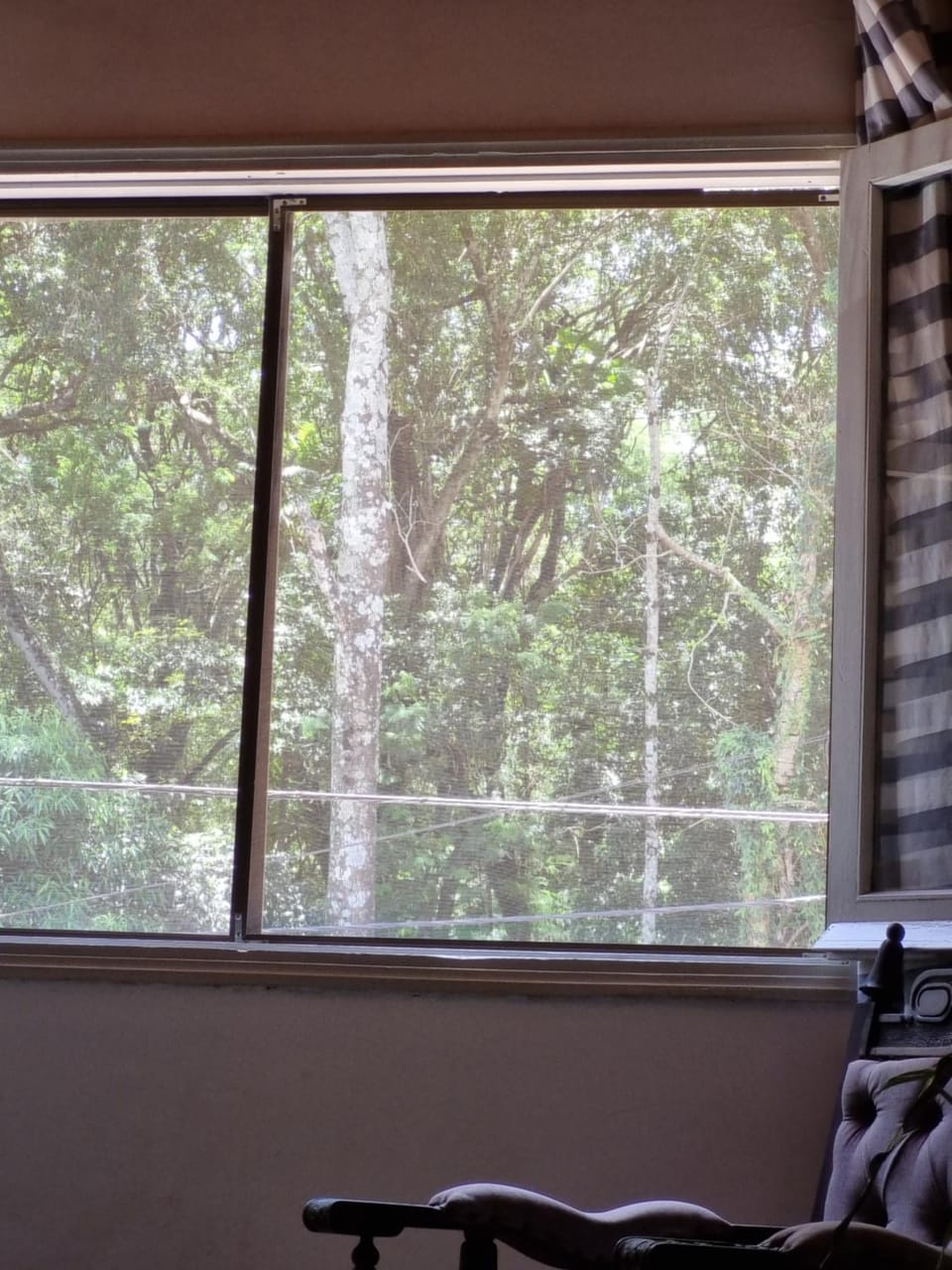 Acutí Departamento Apartment in Puerto Iguazú