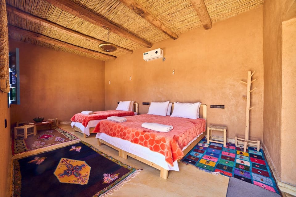Bed, Photo of the whole room, Bedroom, bunk bed