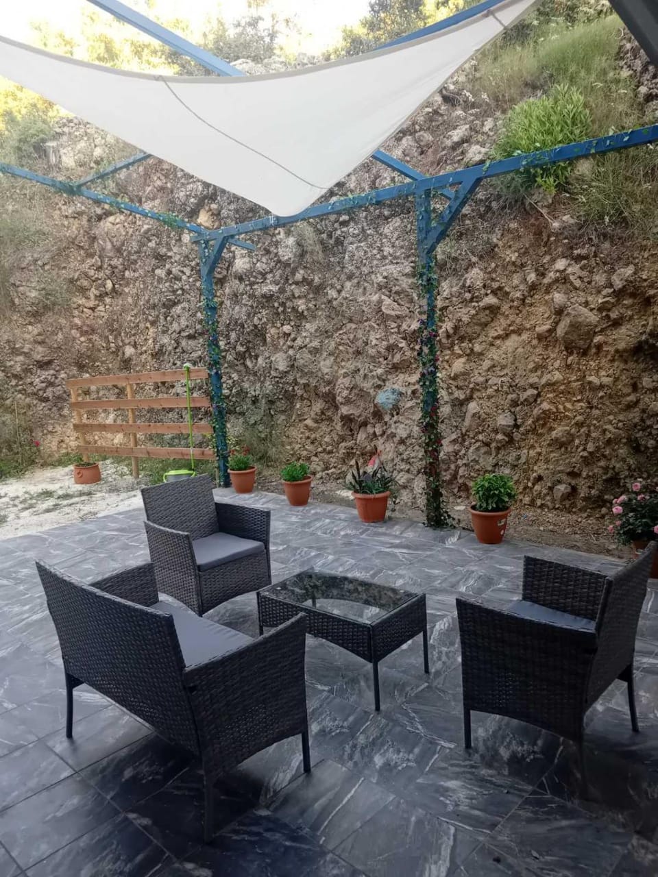 Garden view