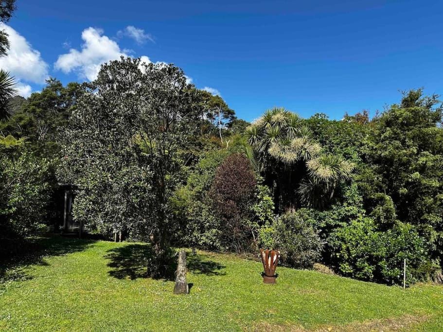 Spring, Natural landscape, Garden, Garden view