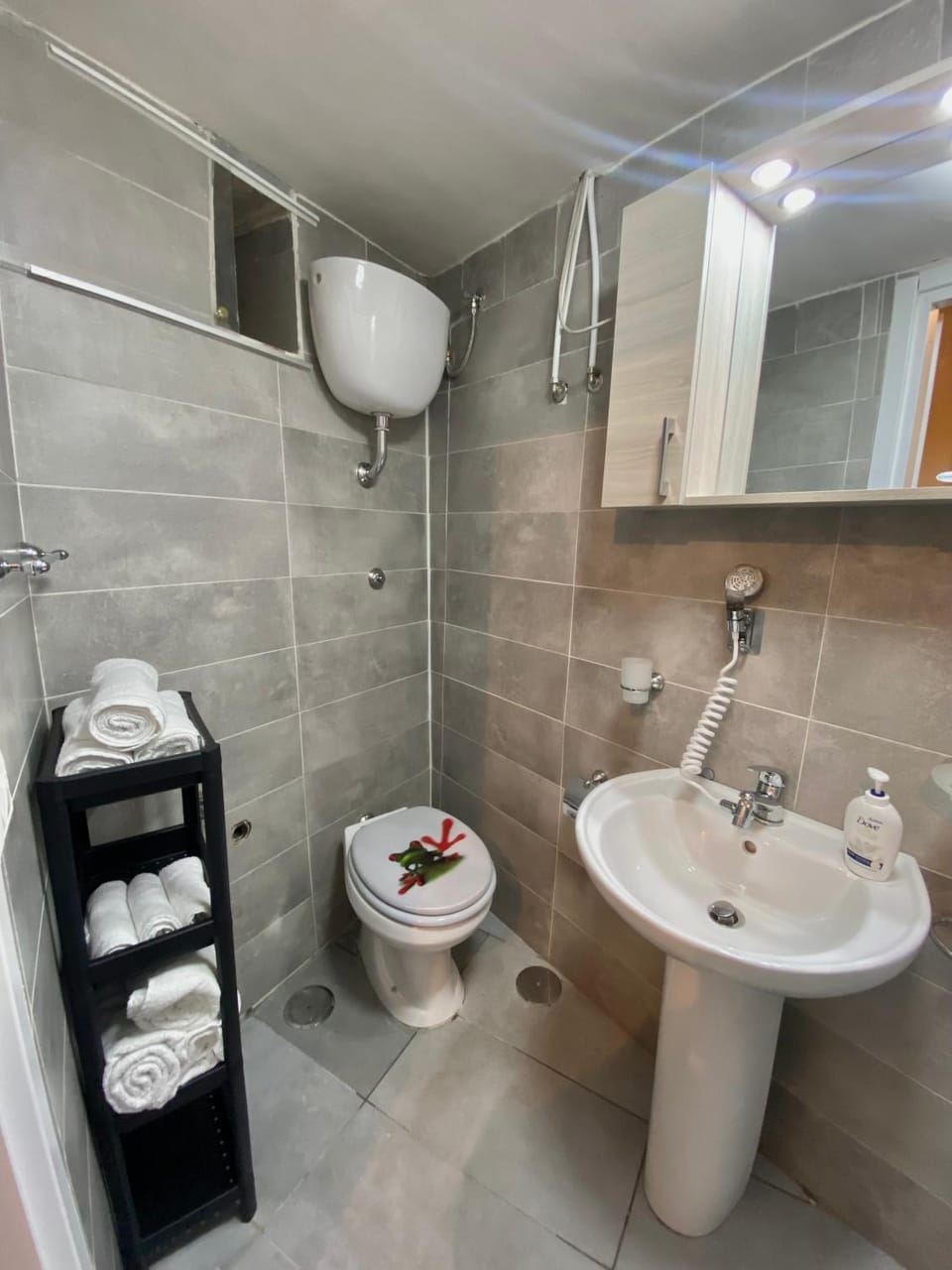 Shower, Toilet, Bathroom, towels