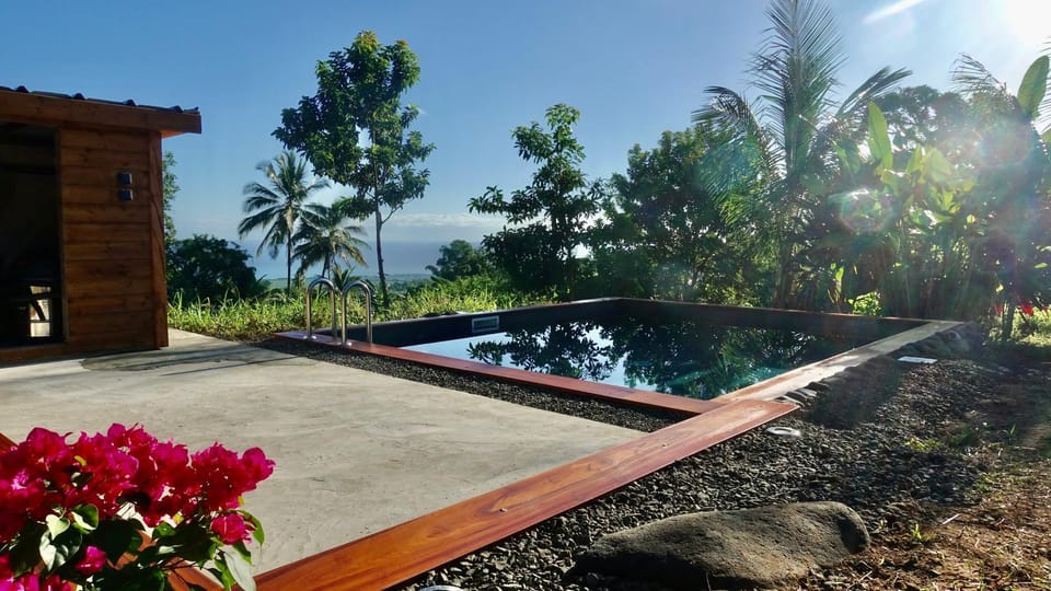 Day, Garden, Pool view, Swimming pool