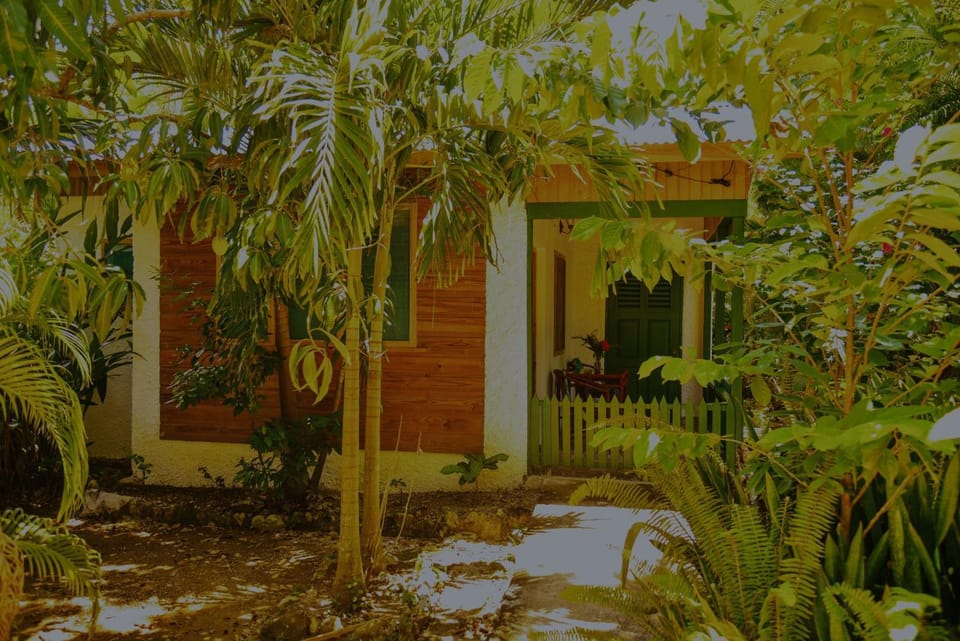 Facade/entrance, Garden