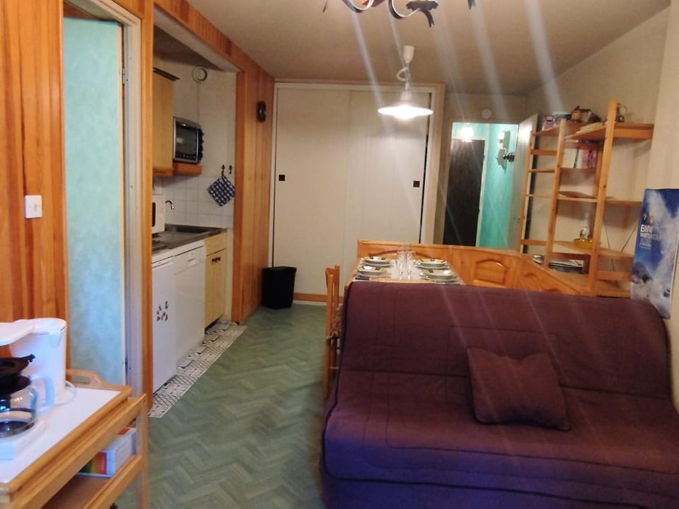 Apt Pied de Pistes, 4 Pers, 1 Ch, TV, Balcon, Casier à Ski - FR-1-771-44 Apartment in Auvergne-Rhône-Alpes