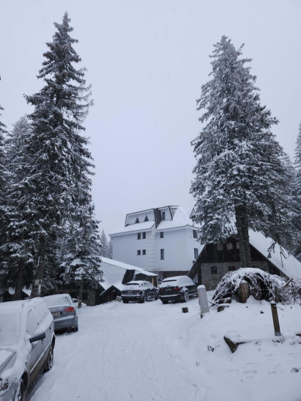 MASSIV Kopaonik centar lux apartmani Apartment in Serbia