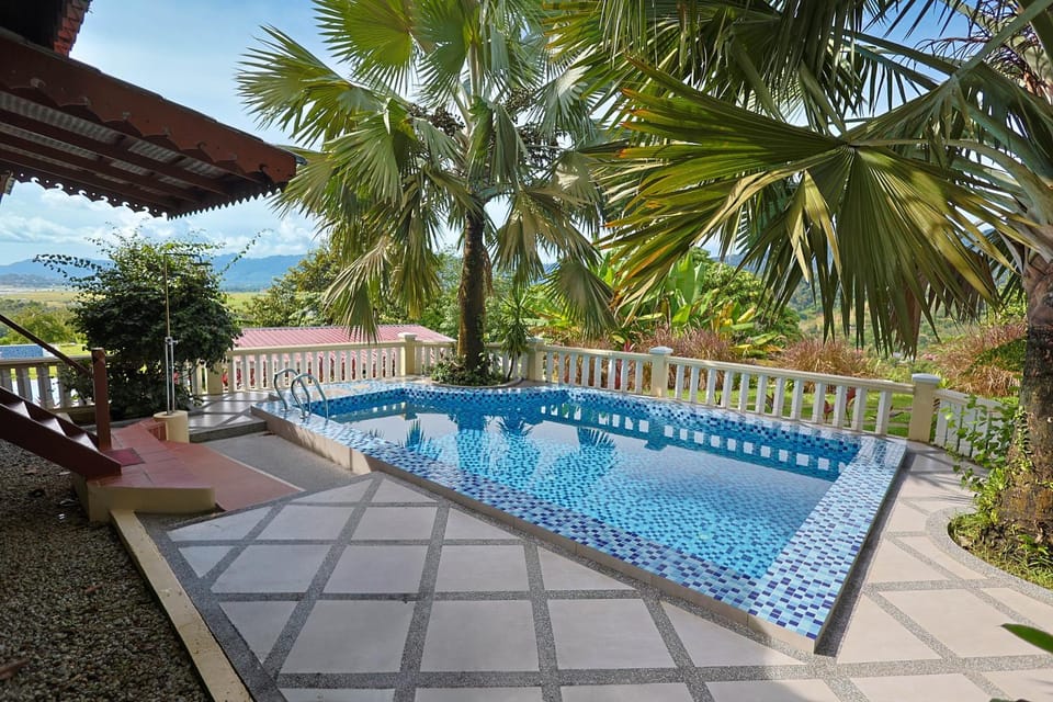 Patio, Natural landscape, Garden, Garden view, Pool view, Swimming pool