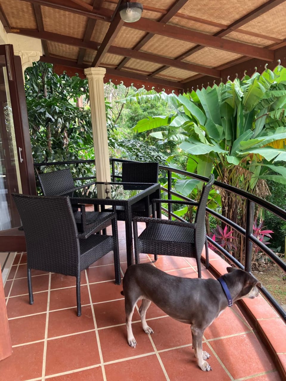 Patio, Garden, View (from property/room), Balcony/Terrace, Dining area