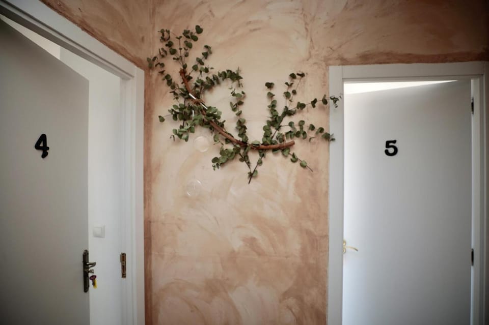 Alojamiento Valladolid Bed and Breakfast in Valladolid