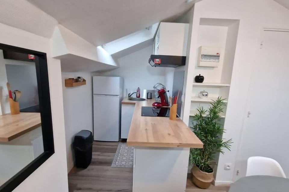 Kitchen or kitchenette, minibar, pet friendly