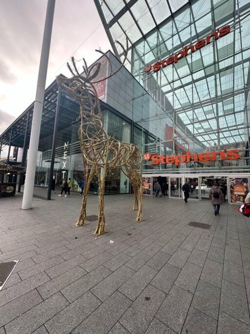 Cosy City Escape Apartment in Hull