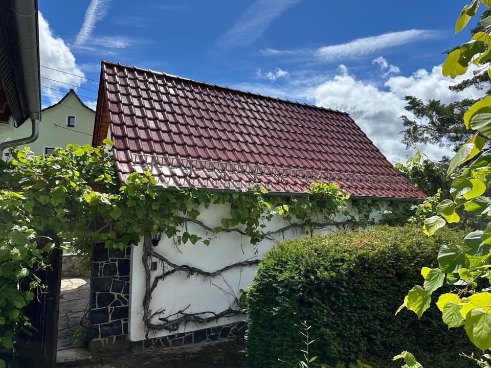 Property building, Garden view