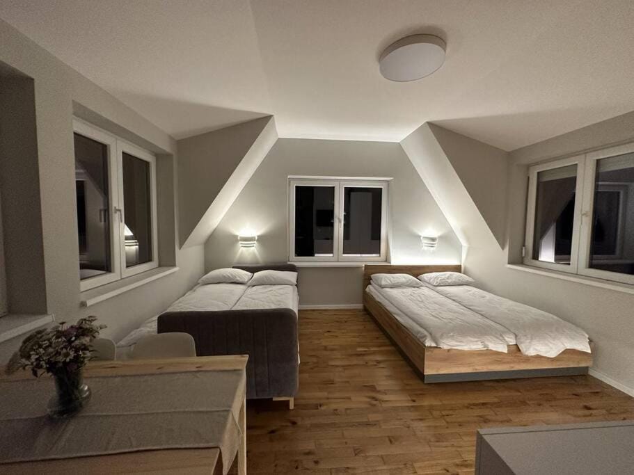 Studio Čuvarkuća Apartment in Serbia