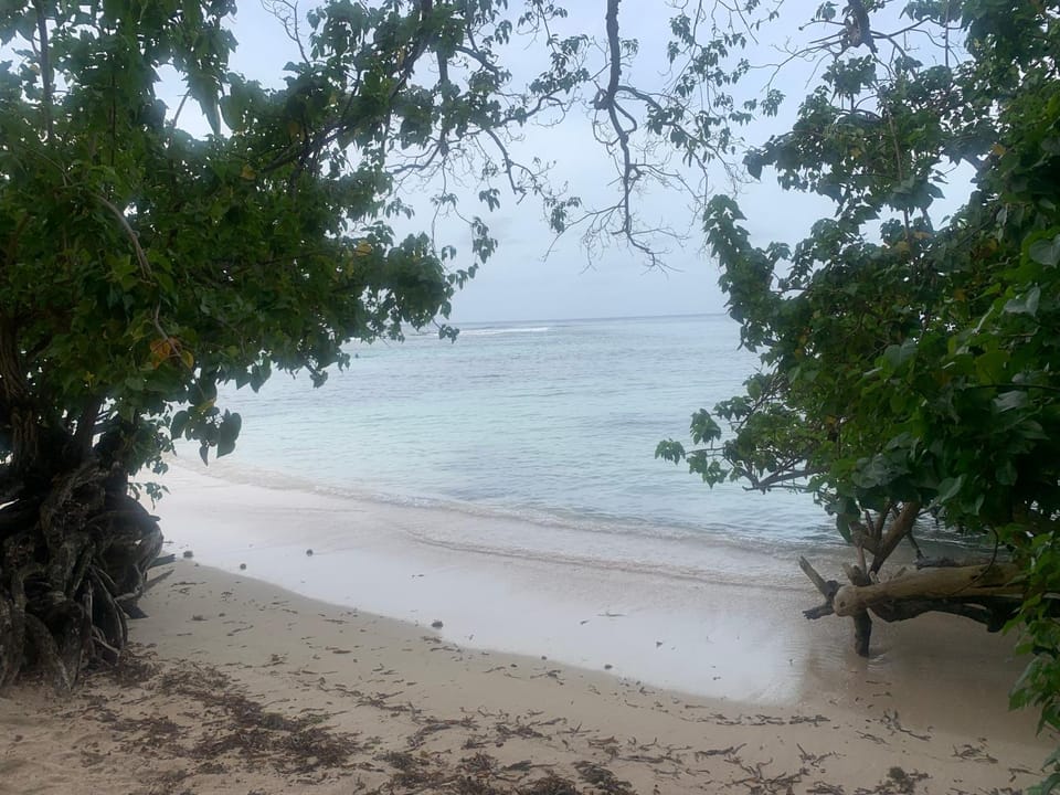 Day, Natural landscape, Beach
