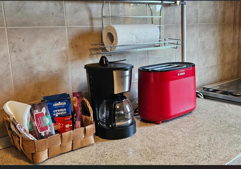 Gea home Apartment in Timisoara