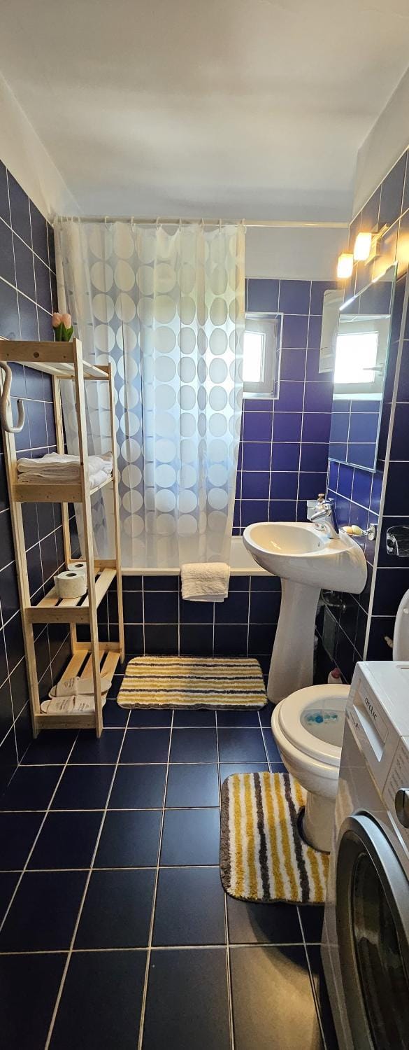 Gea home Apartment in Timisoara