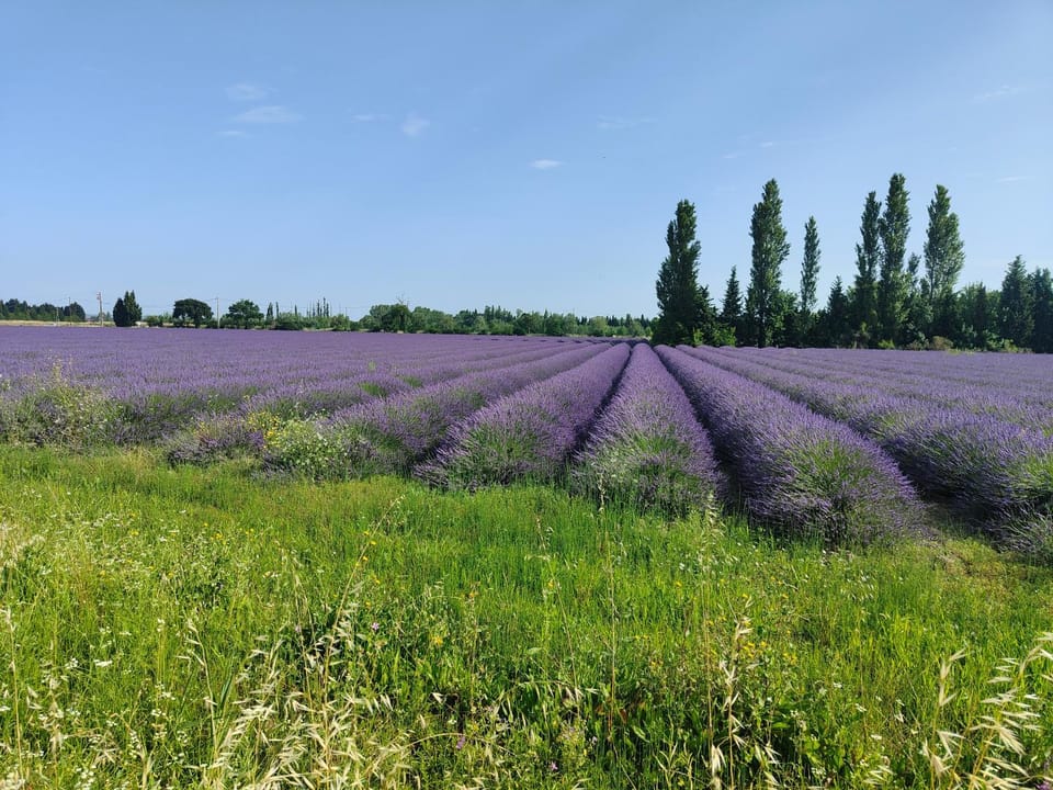 Natural landscape