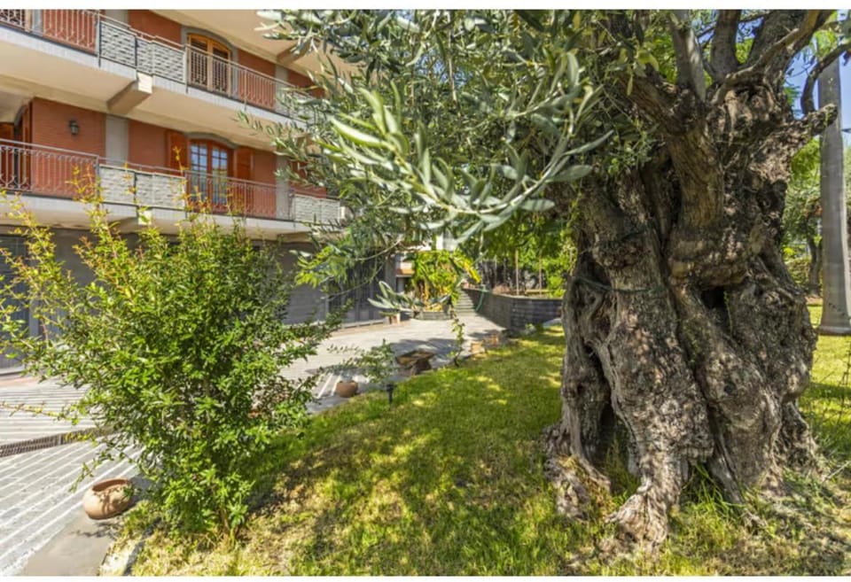 Property building, Garden, Garden view