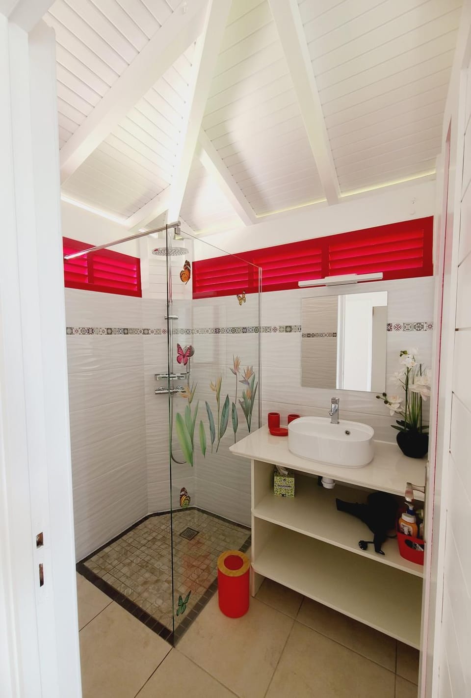Shower, hair dryier, towels