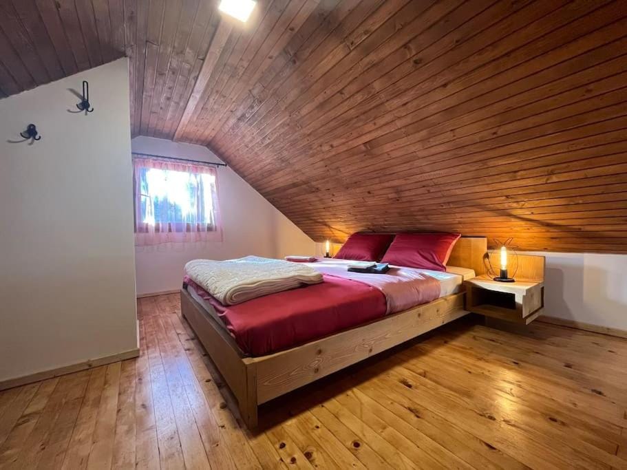 Tiny house ZAZA Apartment in Montenegro