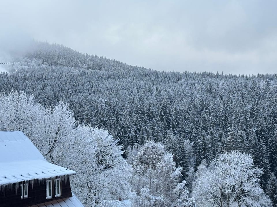 Penzion Verde Rosa Bed and Breakfast in Lower Silesian Voivodeship