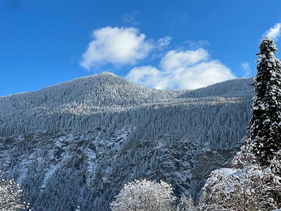 Mazot Agora Suite - Pop-Up Gallery Experience Suite Bed and Breakfast in Haute-Savoie