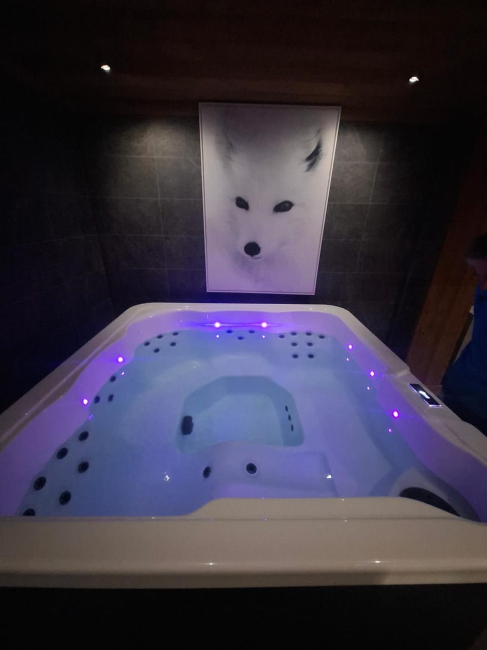 Spa and wellness centre/facilities